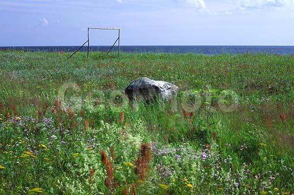 ����� ����, �����, ����������� �����, ������, �������