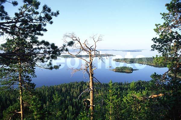 ����� ����, �����, ����������� �����, ������, �������