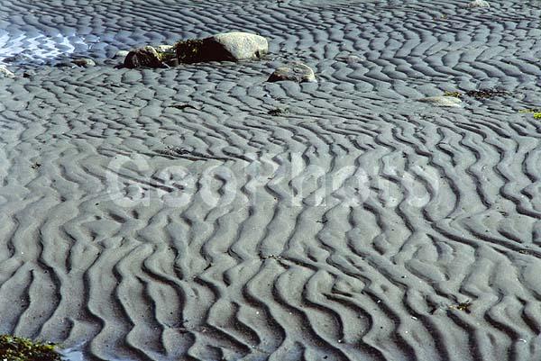 ����� ����, �����, ����������� �����, ������, �������