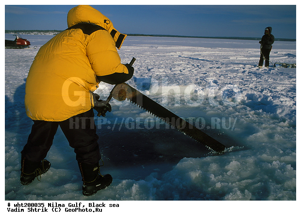 ������, �������, ���������, ������, ����, �������� ����, ��������