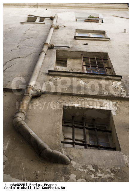 �����, �������