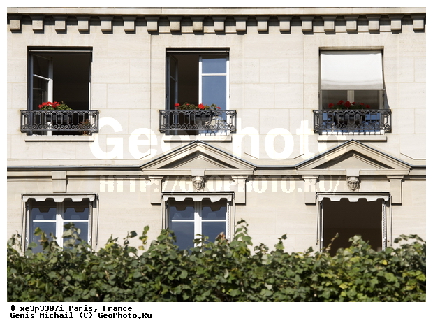 ����, �����, �������, �������