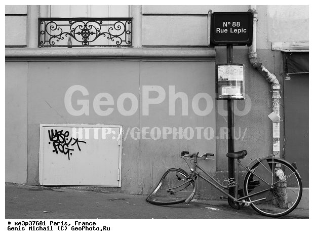 �����, �������