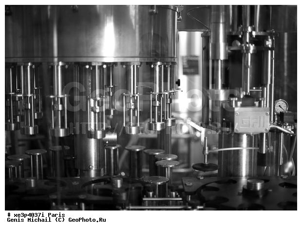 ����, �����, ������ �������