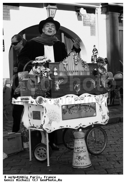 �����, �������, ���������