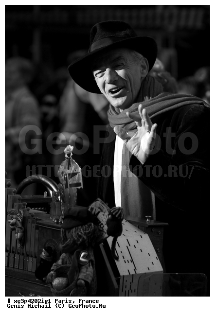 �����, �������, ���������