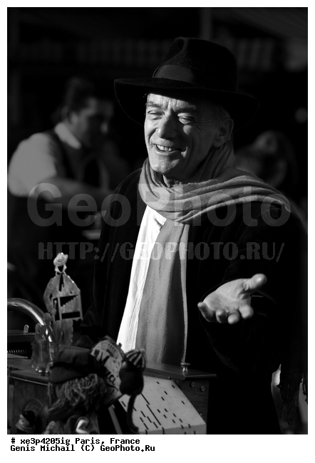 �����, �������, ���������