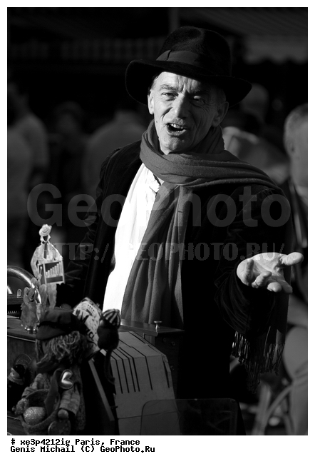 �����, �������, ���������