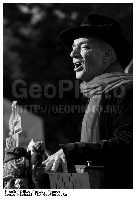 �����, �������, ���������