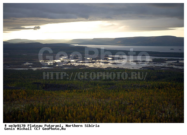 �����, �������, ��������, ������, ������, �������, ����������, ��������������, ��������������, ��� ������, �����, ����, �����, ������, �����