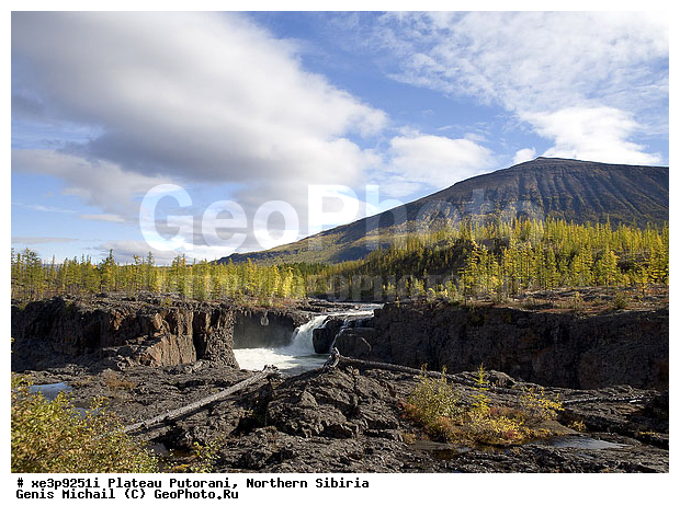 �������, �����, �������, ��������, ������, ������, ��������, �����, ����, �����, ����, ����, �����, ���������,������