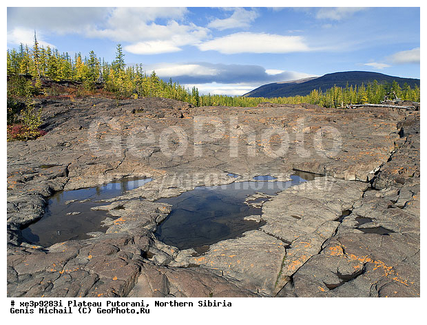 �����, �������, ��������, ������, ������, �����, ����, �����, �����