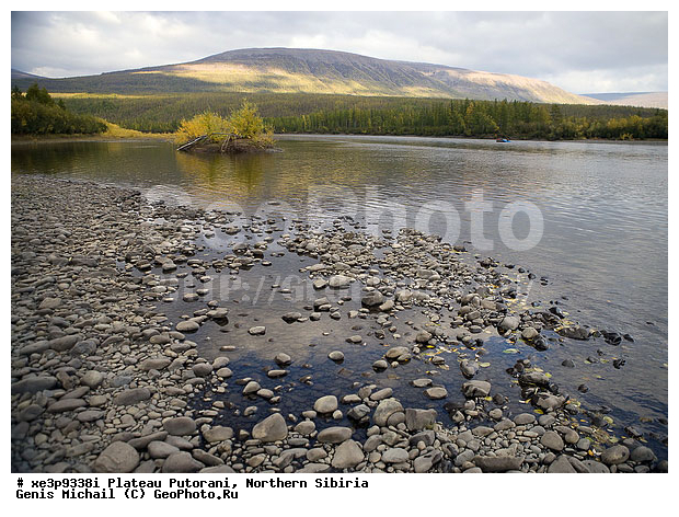 �����, �������, ��������, ������, ������, �����, ����, �����, �����