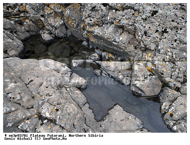 �����, �������, ��������, ������, ������, �����, ����, �����, �����