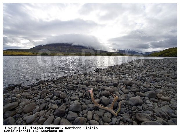 �����, �������, ��������, ������, ������, �����, ����, �����, �����