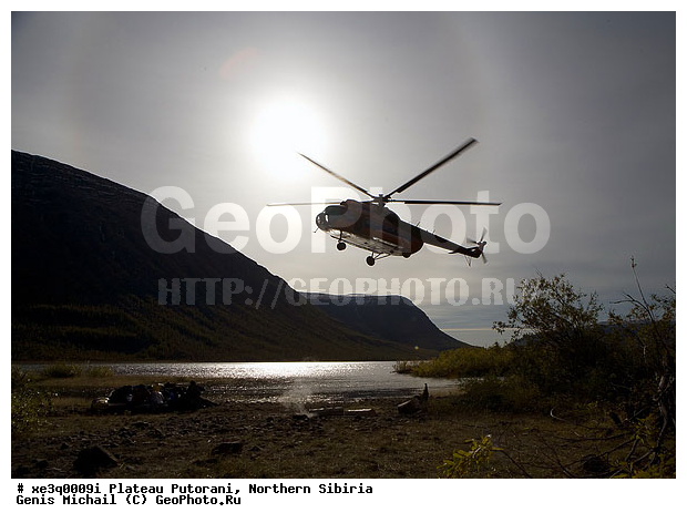 �����, �������, ��������, ������, ������, �����, ����, �����, �����