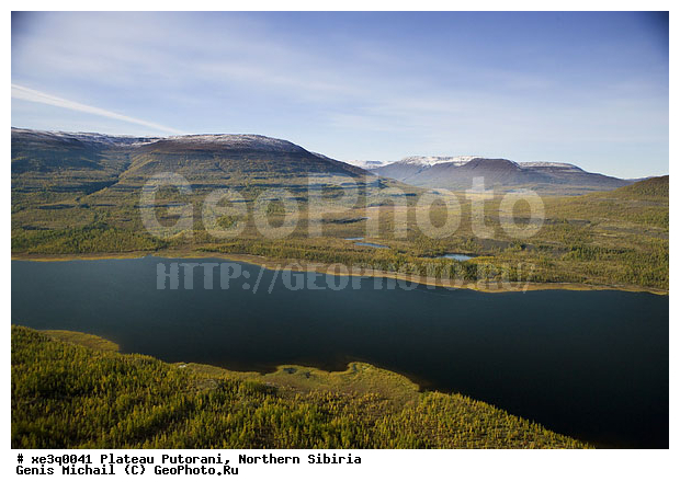 �����, �������, ��������, ������, ������, �������, ����������, ��������������, ��������������, ��� ������, �����, ����, �����, ������, �����