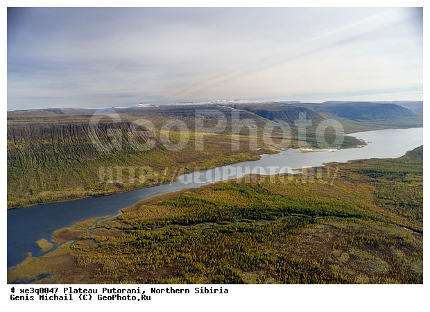 �����, �������, ��������, ������, ������, �������, ����������, ��������������, ��������������, ��� ������, �����, ����, �����, ������, �����