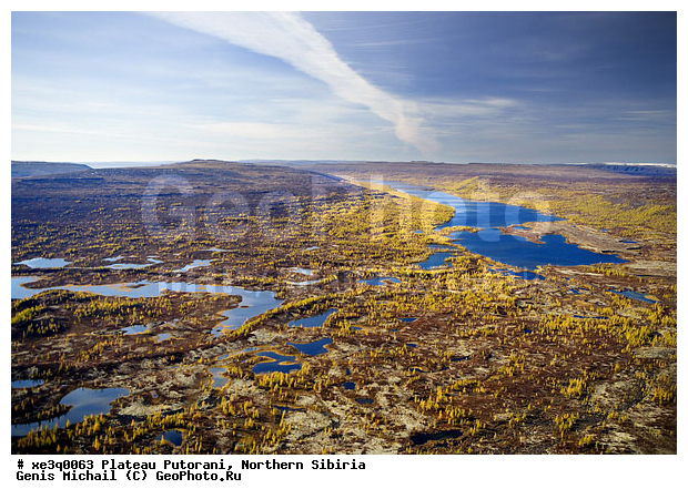 �����, �������, ��������, ������, ������, �������, ����������, ��������������, ��������������, ��� ������, �����, ����, �����, ������, �����