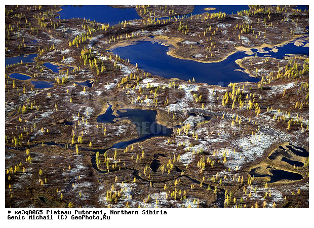 �����, �������, ��������, ������, ������, �������, ����������, ��������������, ��������������, ��� ������, �����, ����, �����, ������, �����