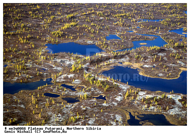 �����, �������, ��������, ������, ������, �������, ����������, ��������������, ��������������, ��� ������, �����, ����, �����, ������, �����