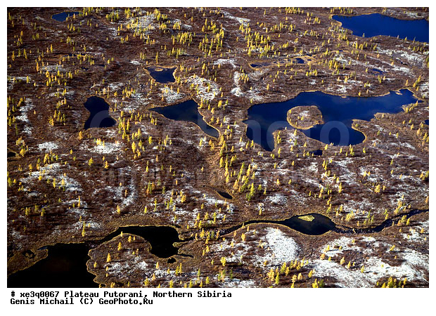 �����, �������, ��������, ������, ������, �������, ����������, ��������������, ��������������, ��� ������, �����, ����, �����, ������, �����