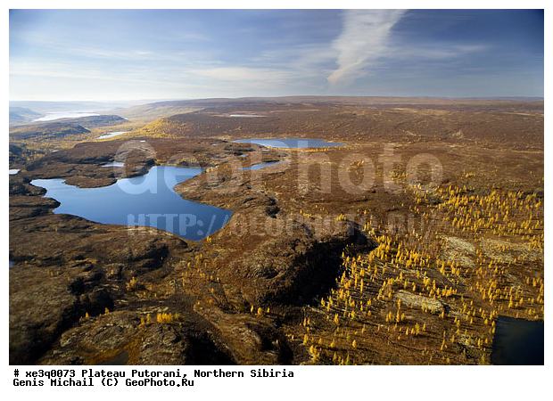 �����, �������, ��������, ������, ������, �������, ����������, ��������������, ��������������, ��� ������, �����, ����, �����, ������, �����