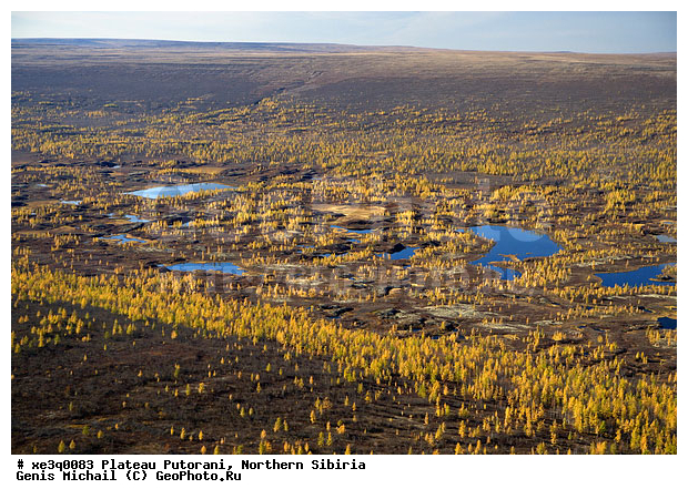 �����, �������, ��������, ������, ������, �������, ����������, ��������������, ��������������, ��� ������, �����, ����, �����, ������, �����