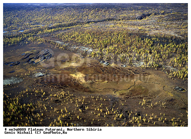 �����, �������, ��������, ������, ������, �������, ����������, ��������������, ��������������, ��� ������, �����, ����, �����, ������, �����