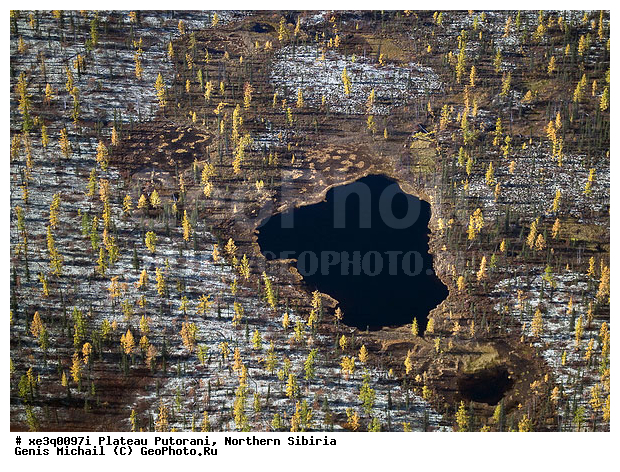 �����, �������, ��������, ������, ������, �������, ����������, ��������������, ��������������, ��� ������, �����, ����, �����, ������, �����