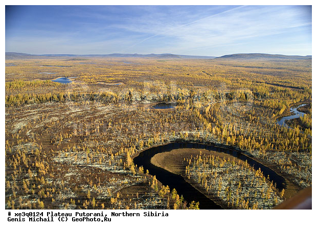 �����, �������, ��������, ������, ������, �������, ����������, ��������������, ��������������, ��� ������, �����, ����, �����, ������, �����