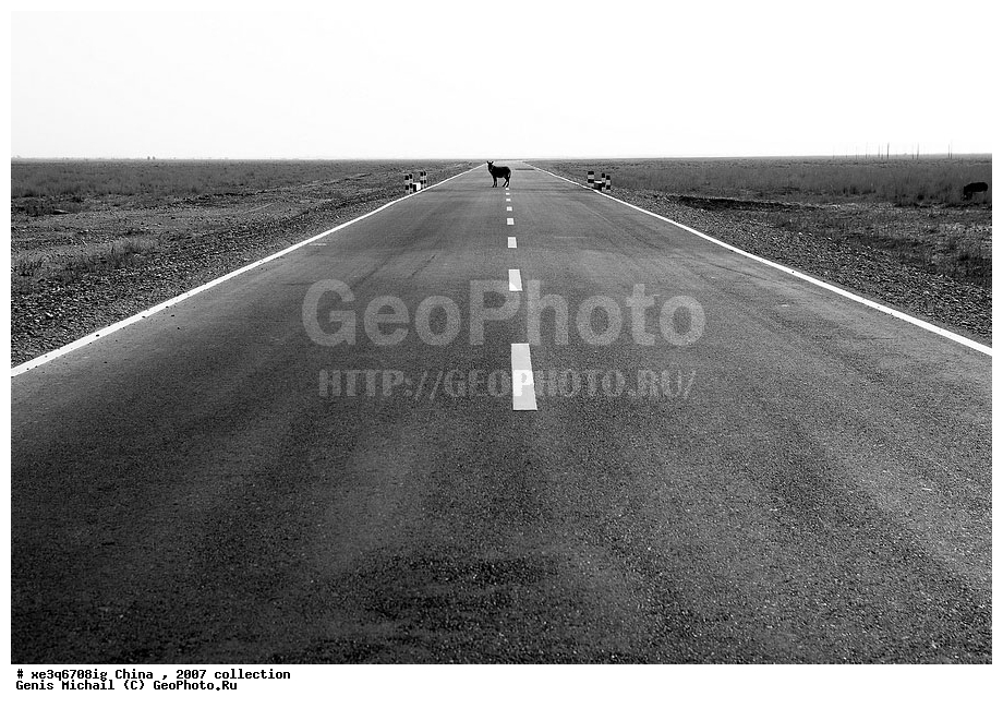 �����, �������, ����������, �����