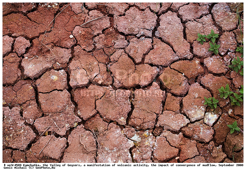 ��������, ������ ��������,  ���������� ������������� ����������, ����������� ��������� ����, �������� 2008 �, �������, �������, �����������, ��������������, ����� �����������