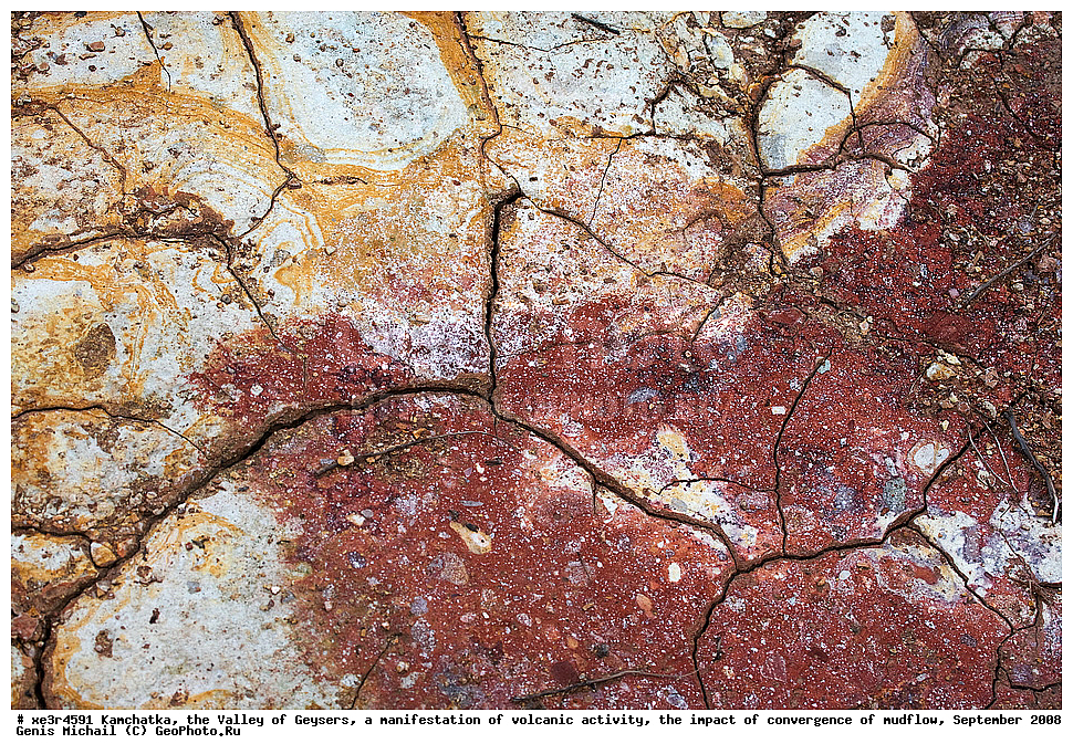 ��������, ������ ��������,  ���������� ������������� ����������, ����������� ��������� ����, �������� 2008 �, �������, �������, �����������, ��������������, ����� �����������