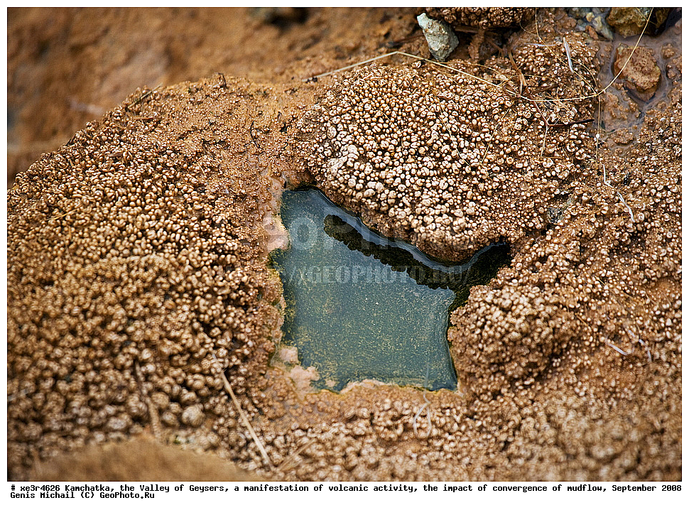 ��������, ������ ��������,  ���������� ������������� ����������, ����������� ��������� ����, �������� 2008 �