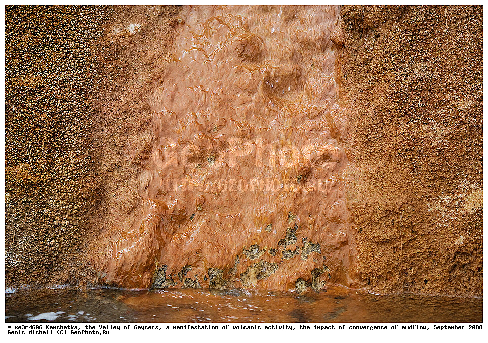 ��������, ������ ��������,  ���������� ������������� ����������, ����������� ��������� ����, �������� 2008 �