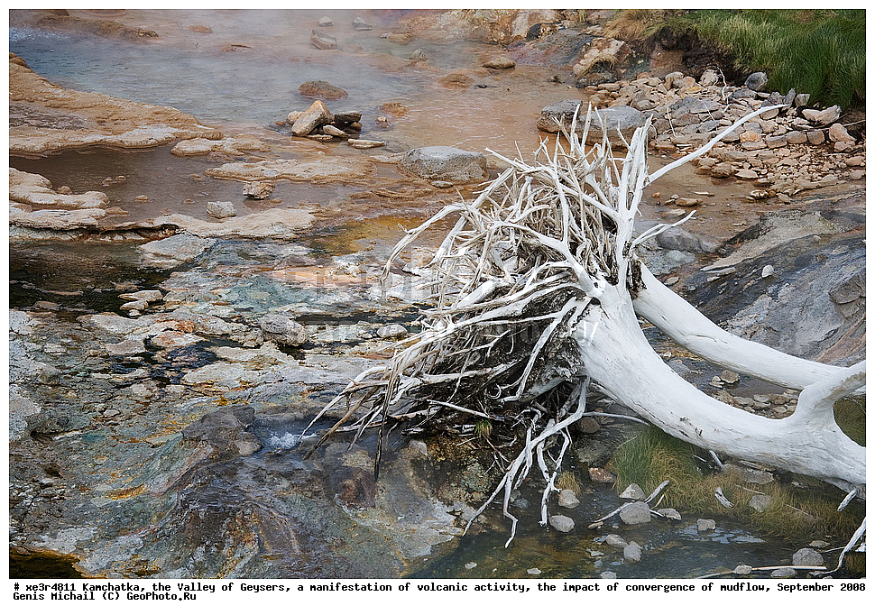 ��������, ������ ��������,  ���������� ������������� ����������, ����������� ��������� ����, �������� 2008 �