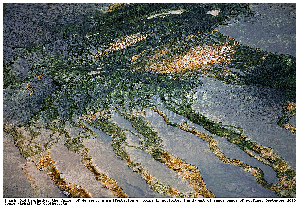 ��������, ������ ��������,  ���������� ������������� ����������, ����������� ��������� ����, �������� 2008 �