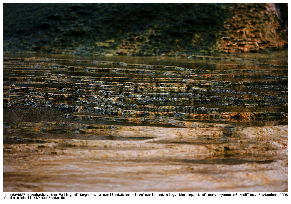 ��������, ������ ��������,  ���������� ������������� ����������, ����������� ��������� ����, �������� 2008 �