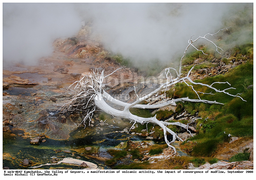 ��������, ������ ��������,  ���������� ������������� ����������, ����������� ��������� ����, �������� 2008 �