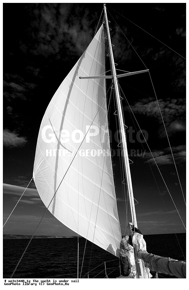 ����, �����, ����, ����� ����