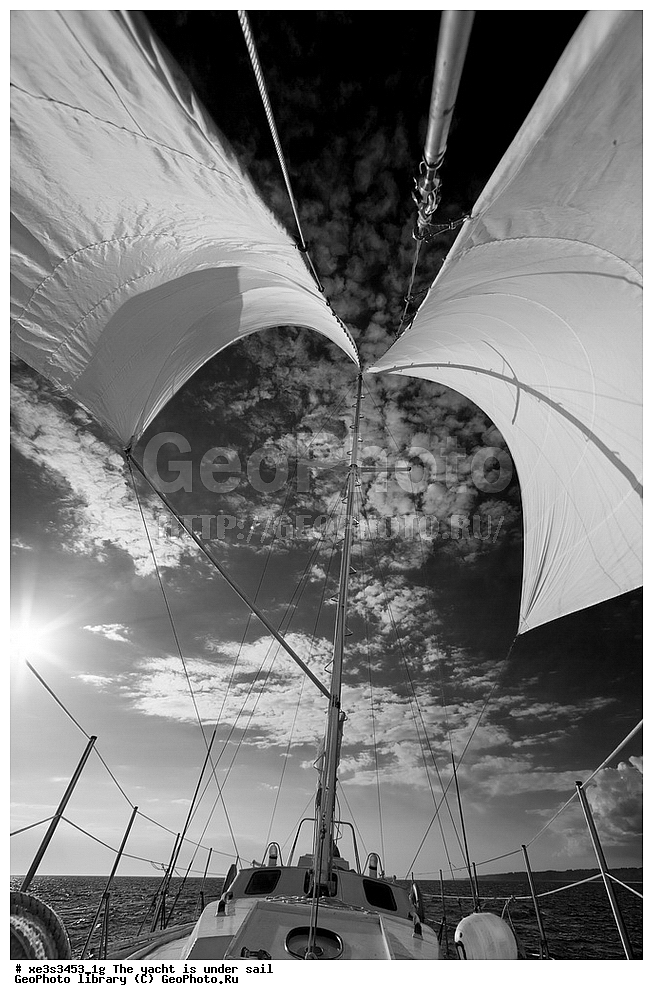 ����, �����, ����, ����� ����