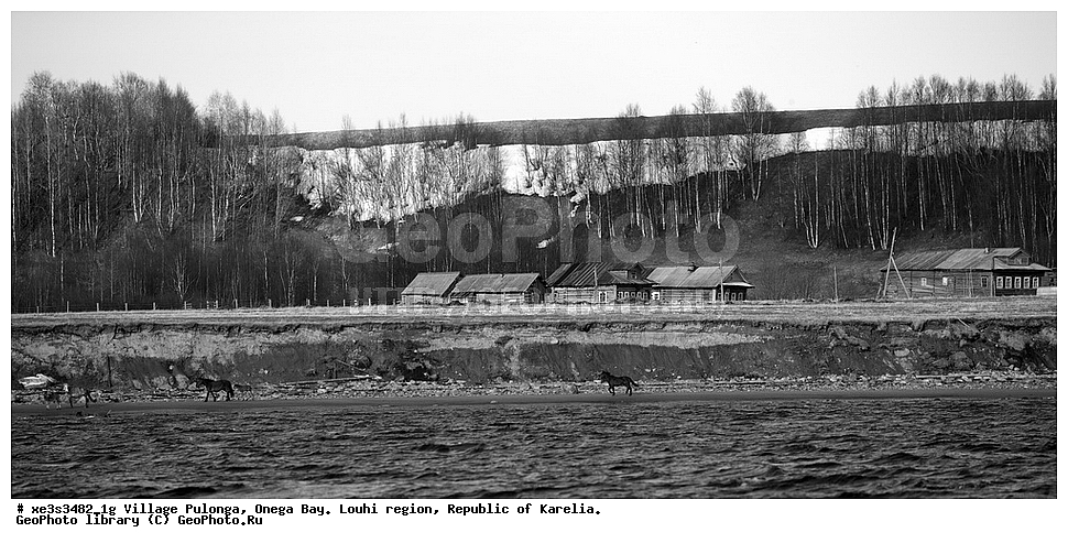 �������, �������,�������� �����, �������� �����, ���������� �������, ������, �������� ������