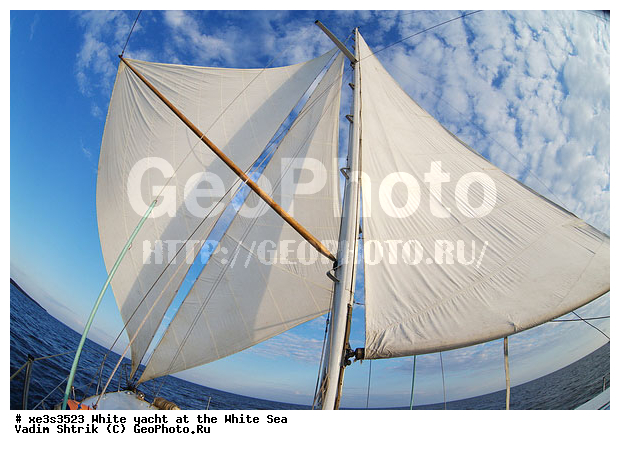 ����, �����, �����, ����, ��������, ��� �������, ������