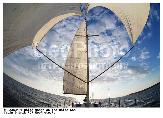 ����, �����, �����, ����, ��������, ��� �������, ������