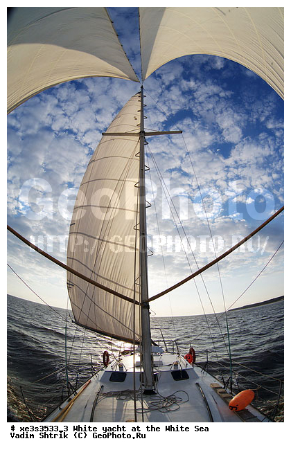 ����, �����, �����, ����, ��������, ��� �������, ������