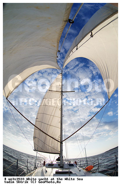 ����, �����, �����, ����, ��������, ��� �������, ������