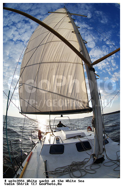 ����, �����, �����, ����, ��������, ��� �������, ������