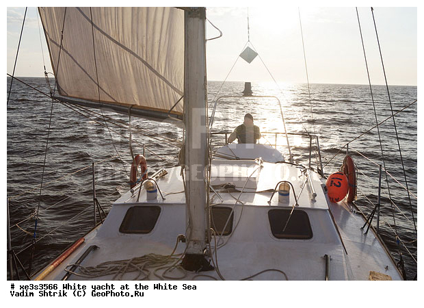 ����, �����, �����, ����, ��������, ��� �������, ������