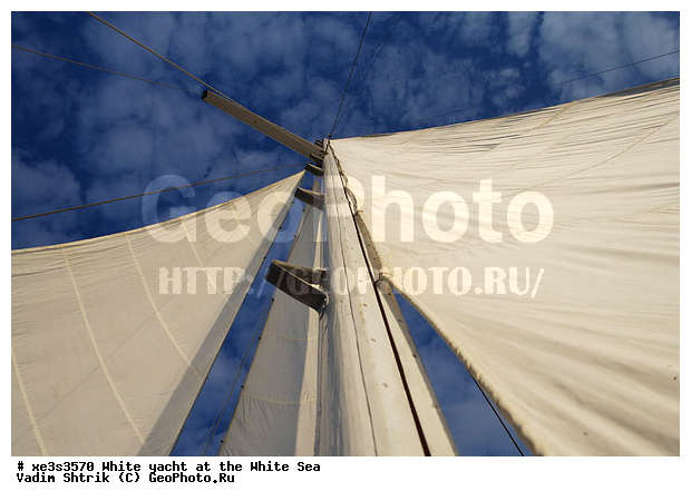 ����, �����, �����, ����, ��������, ��� �������, ������